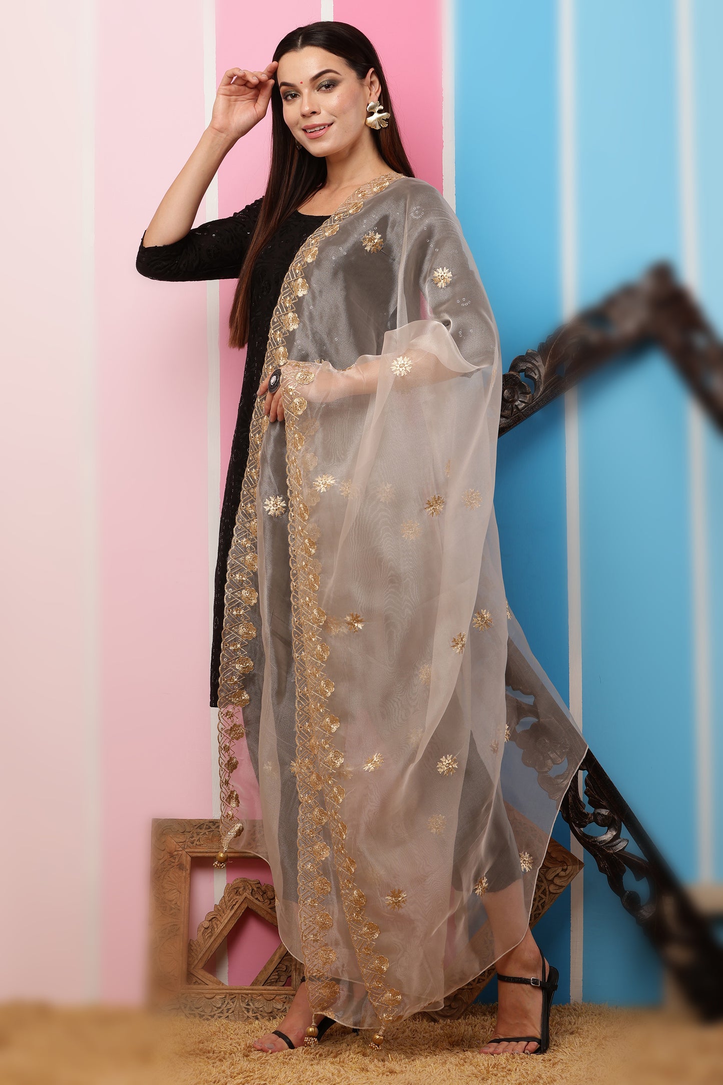 Organza Dupatta- Dark Beige Zari