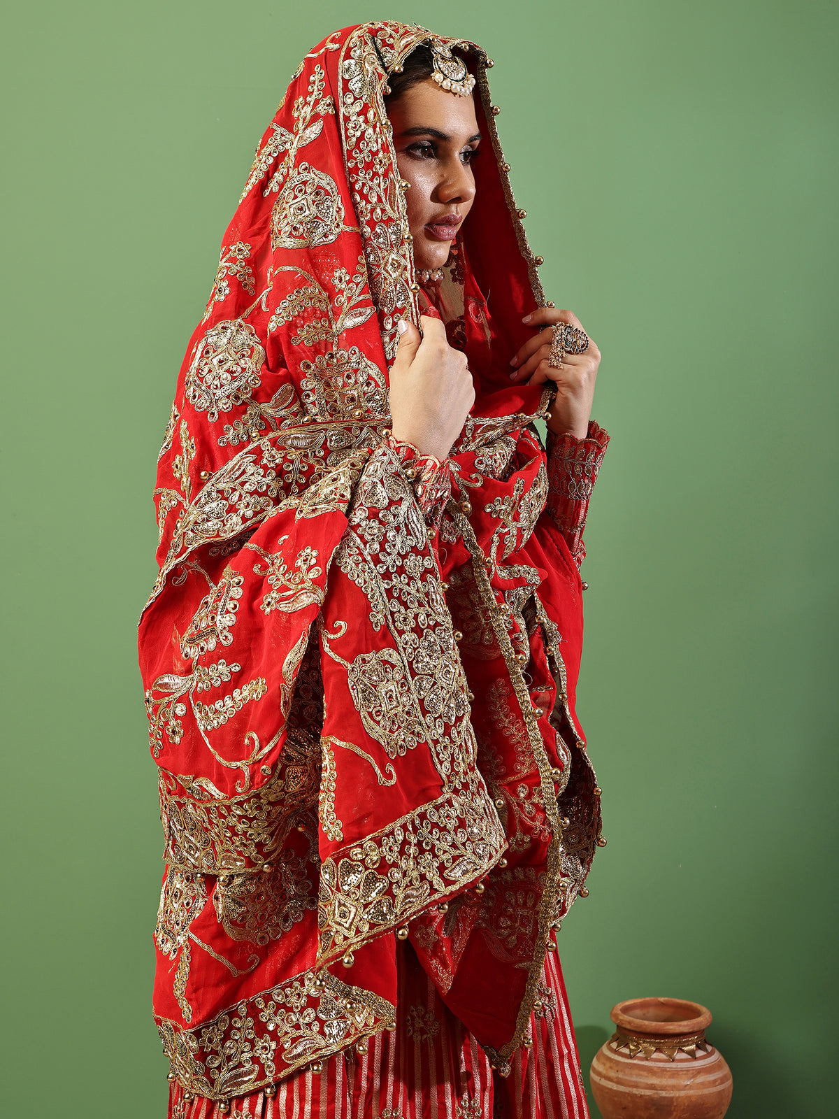 Dupatta- Aishani