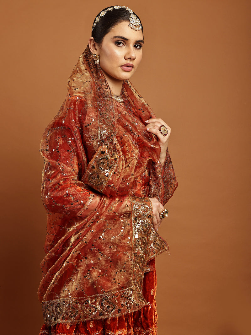 Dupatta- Hemangi