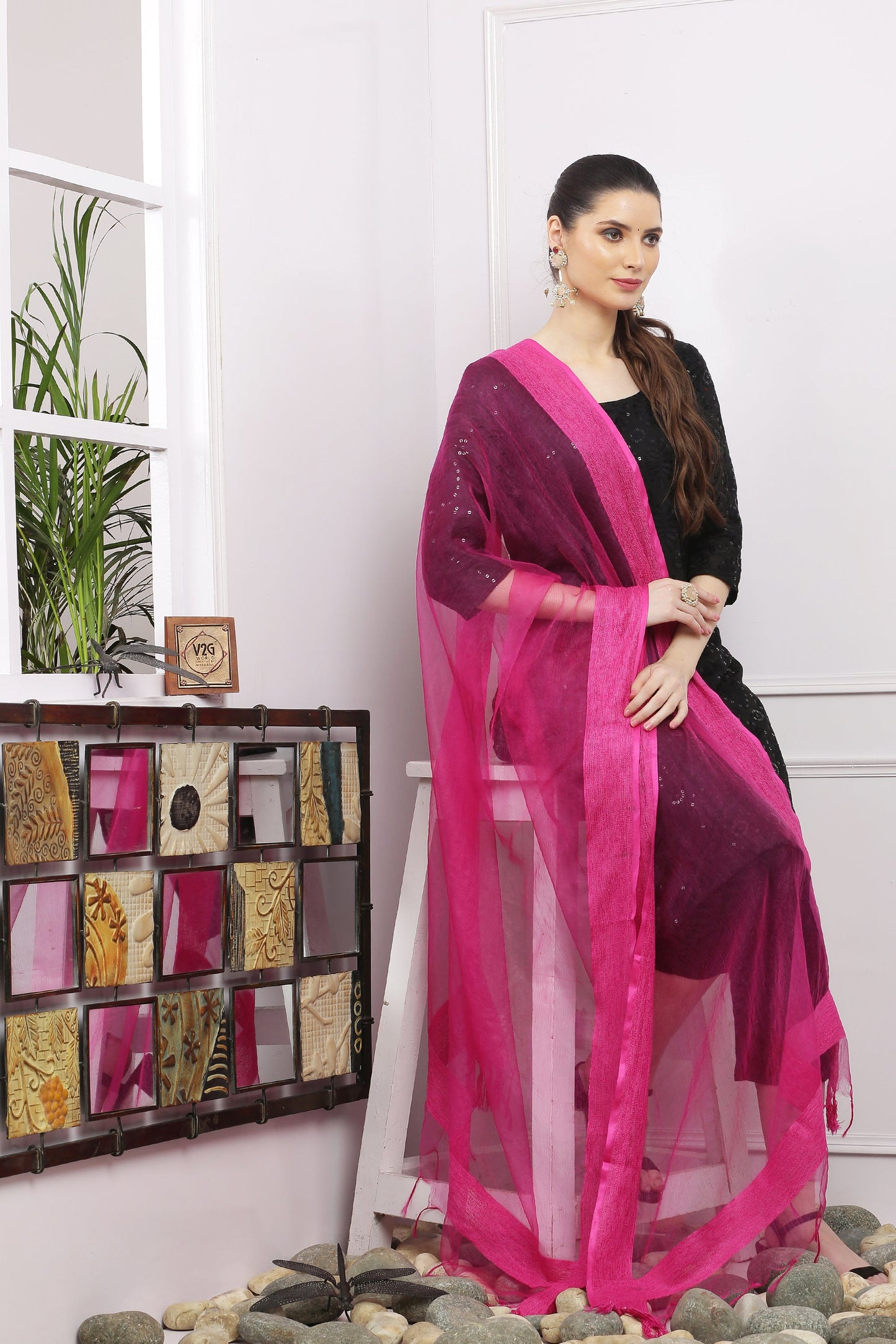 Dupatta-Bhagalpuri Tissue - Magenta