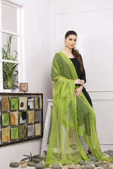 Dupatta-Bhagalpuri Tissue- Green