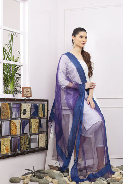Dupatta-Bhagalpuri Tissue - Blue